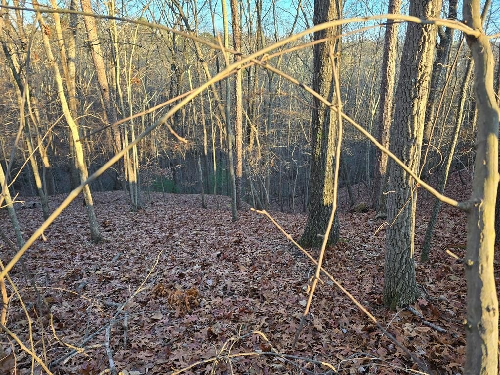 Picture 3
