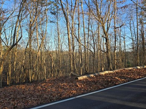 Waterfront Resort Land Parcel