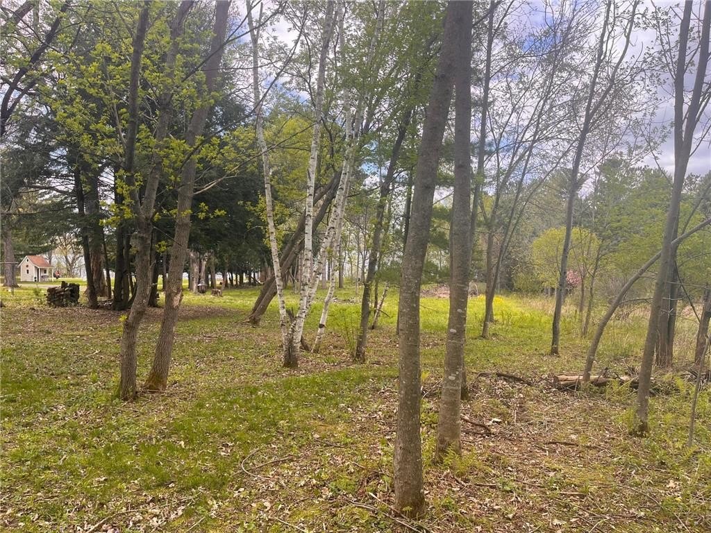 Picture 23
