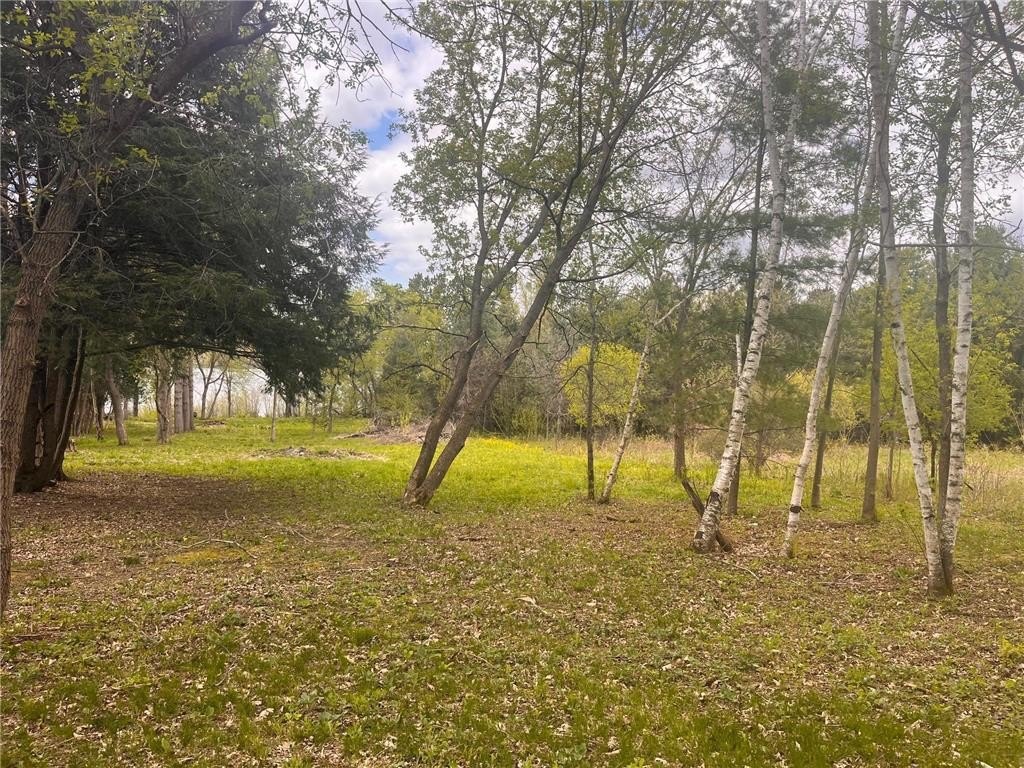 Picture 25