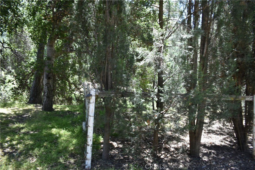 Picture 16