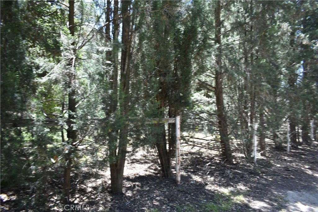 Picture 17