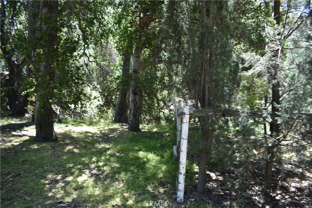 Picture 15