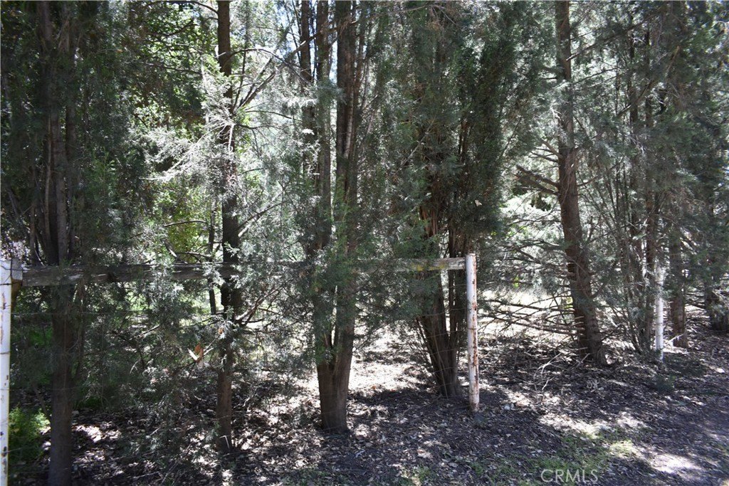 Picture 20