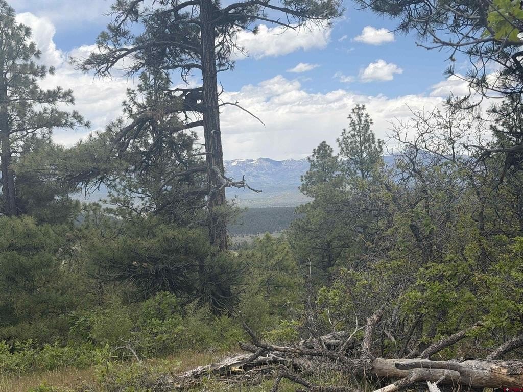 Picture 22