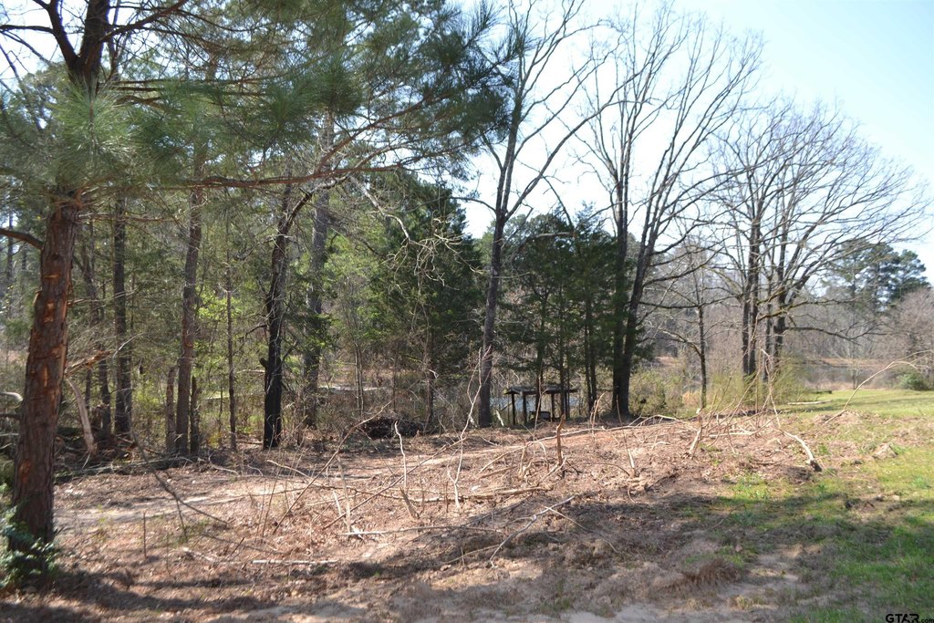 Picture 16