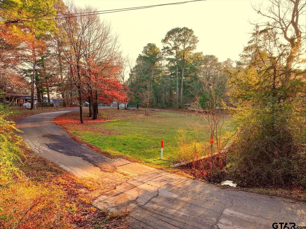 Picture 8