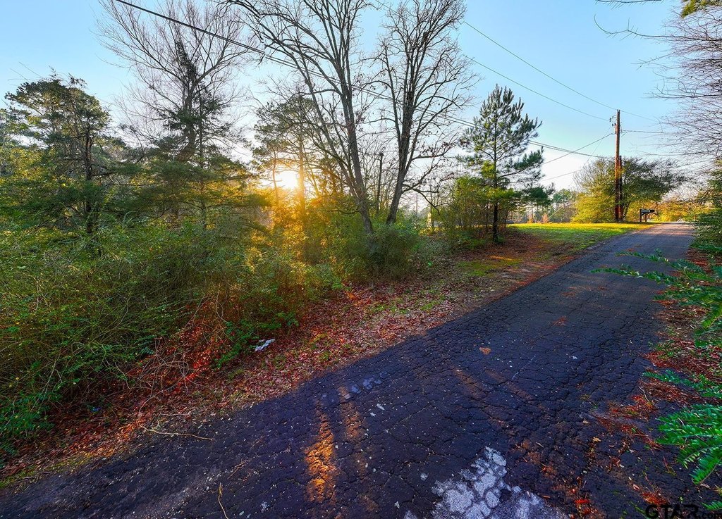 Picture 21