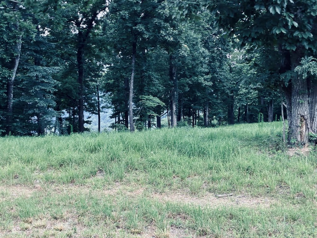 Picture 23