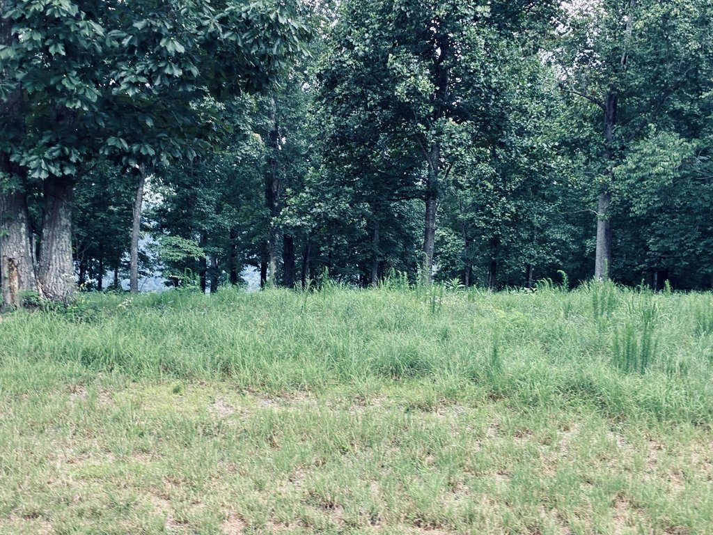 Picture 22