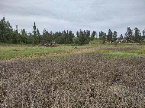 Land, VALLEY, WA
