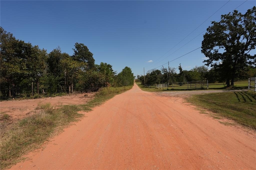 Picture 21