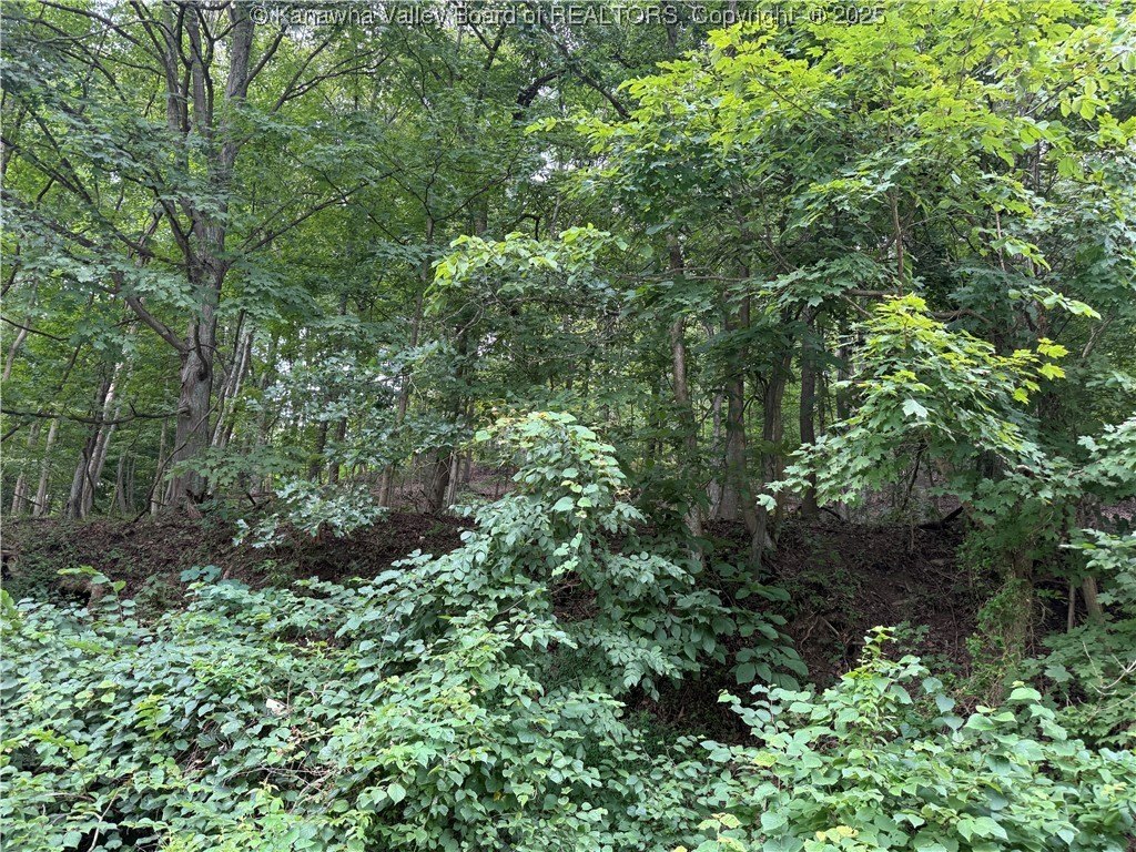 Wooded Land Near US Route