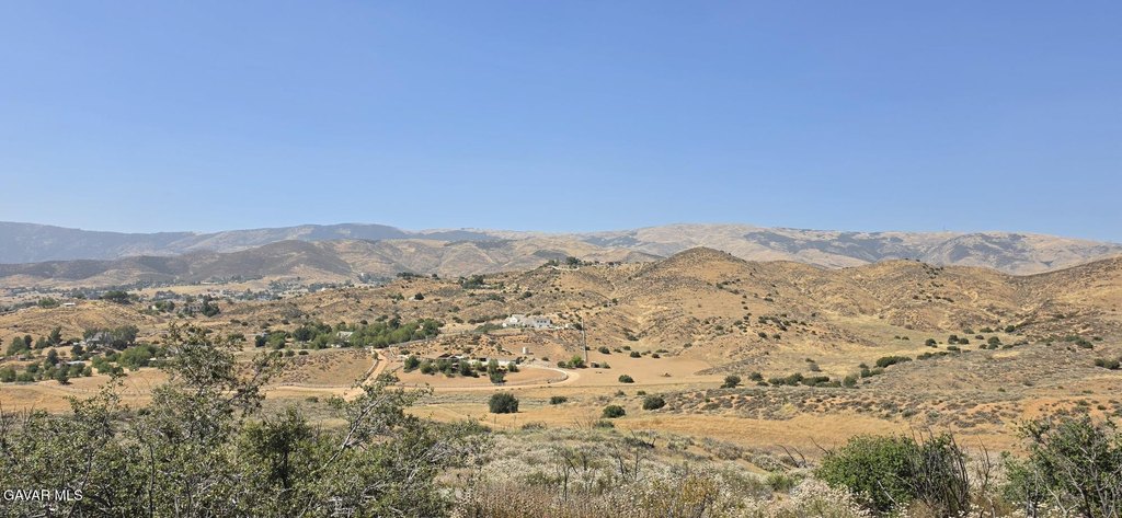 Picture 3