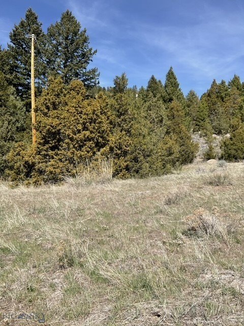 Picture 16