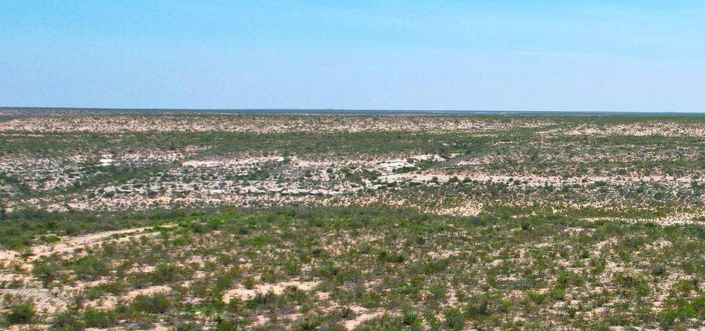 Picture 23