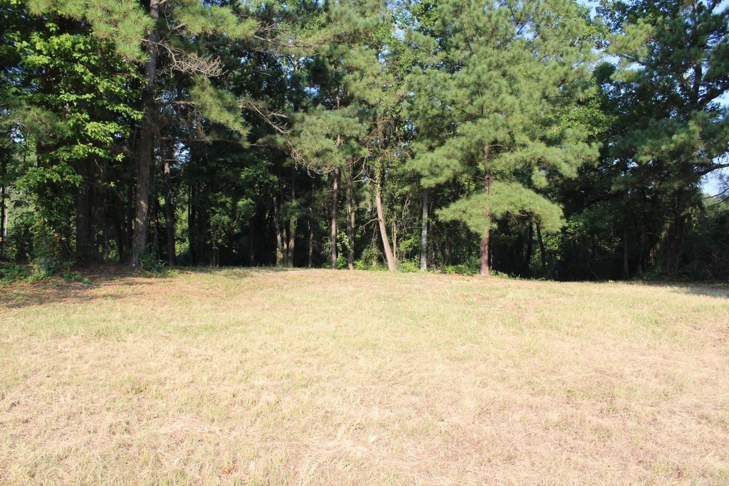 Picture 3