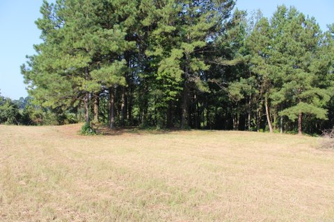 Highway Frontage Land in Nashville