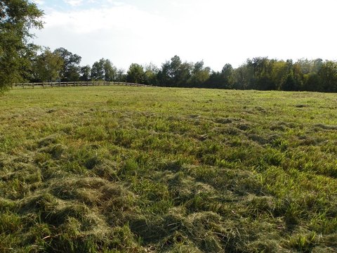 Land For Sale, Sparta, TN