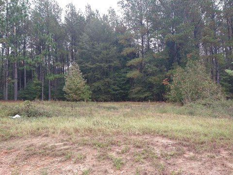 Commercial Land in Keysville, GA