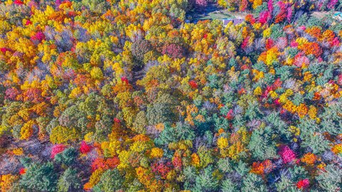 Land, Harrison, ME