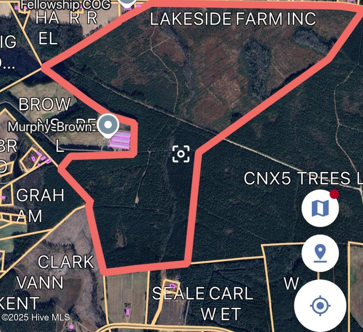 Large Acreage Hunting/Investment Tract