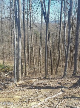Unicoi, TN Wooded Lot