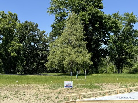 Wooded Lot in Nevada, Iowa
