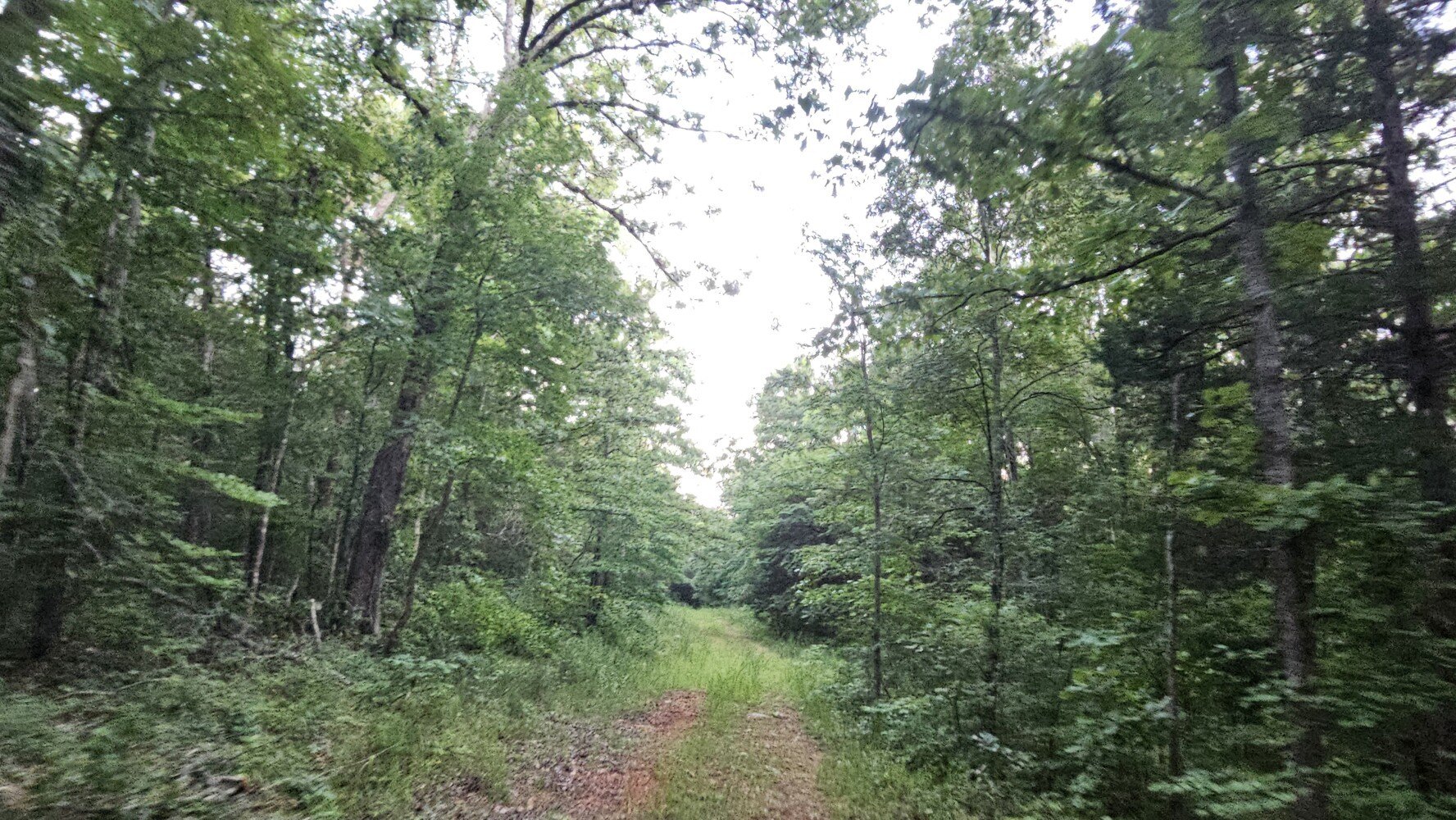 Saint Joe Vacant Land