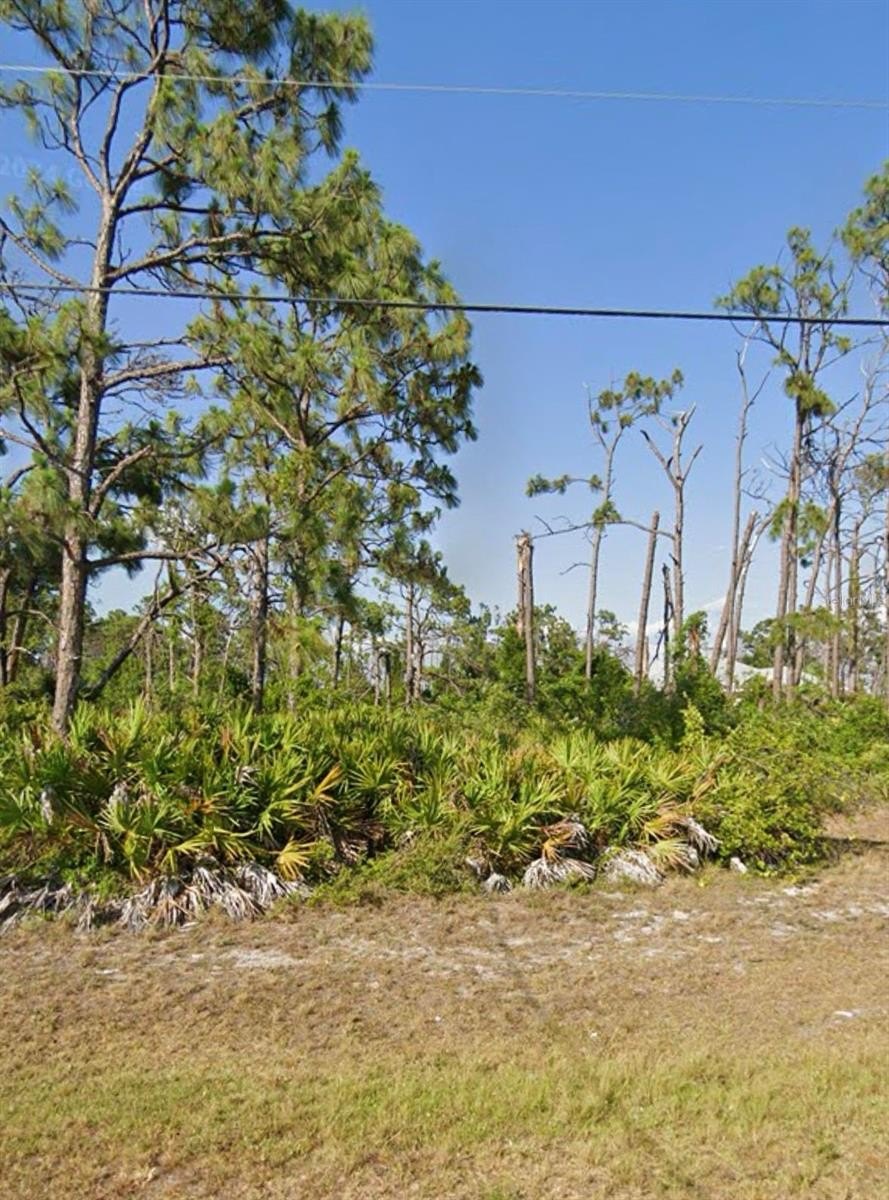 Residential Land in Rotonda West