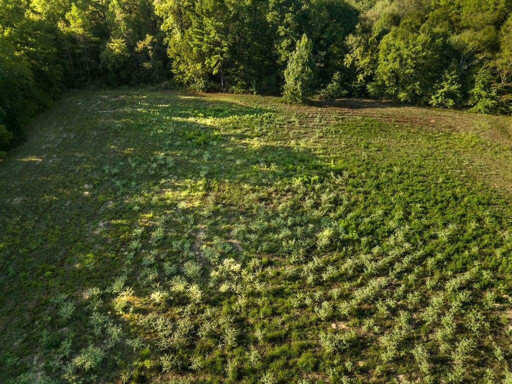Picture 8
