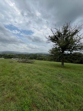 Land, Monticello, KY