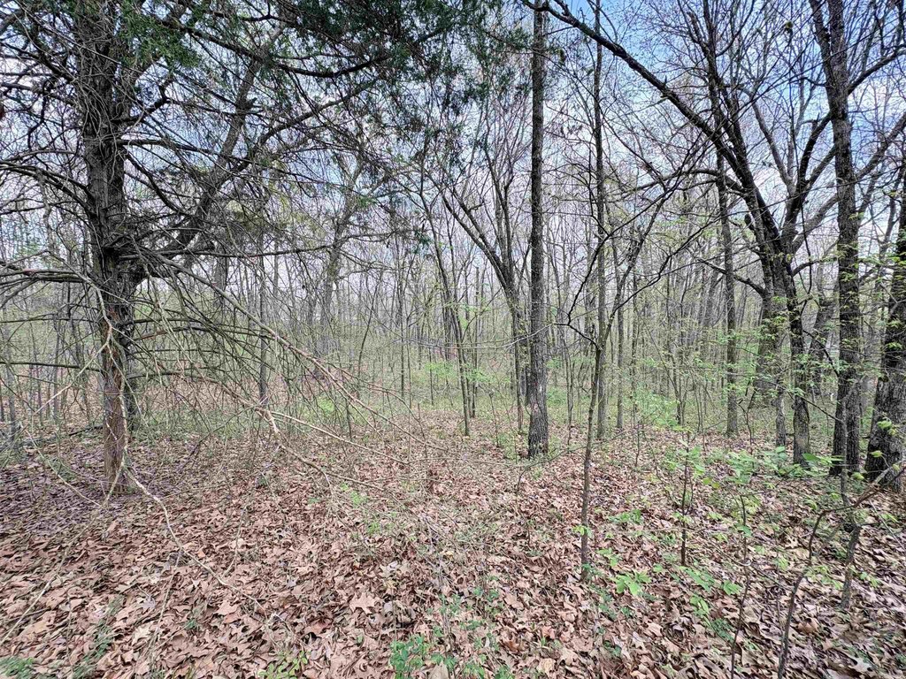 Picture 25