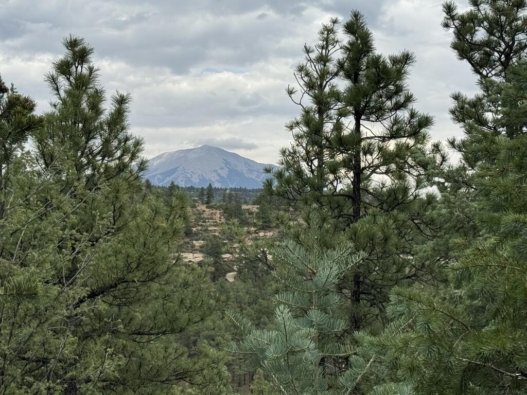 Picture 26