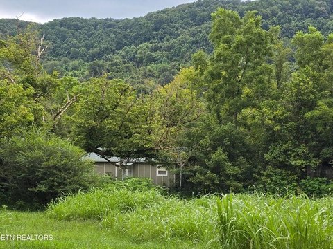 Mulberry Gap Farmland with Creek