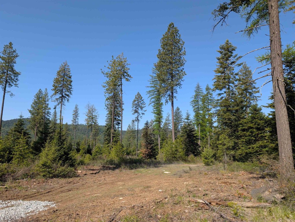 Picture 16