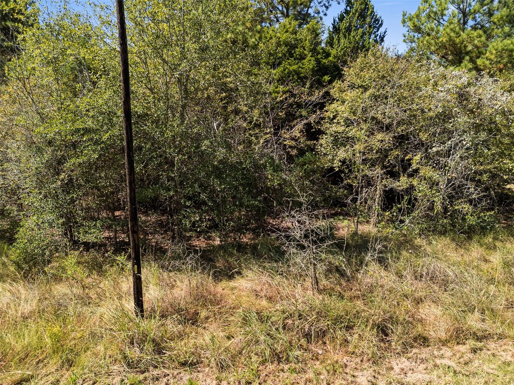 Picture 27
