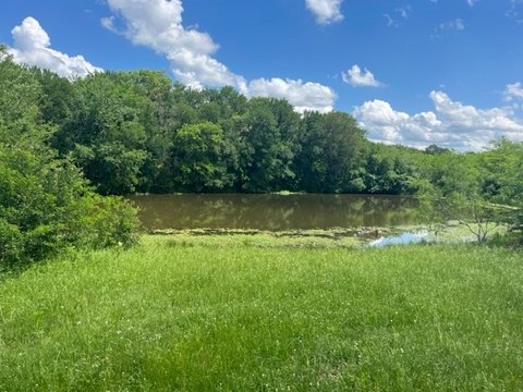 Waterfront Hunting and Recreational Land