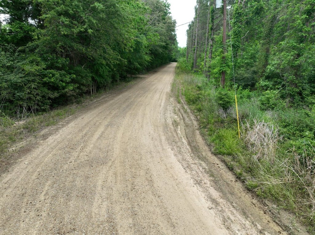 Picture 11