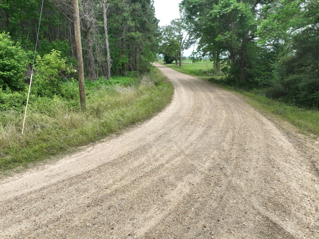 Picture 12