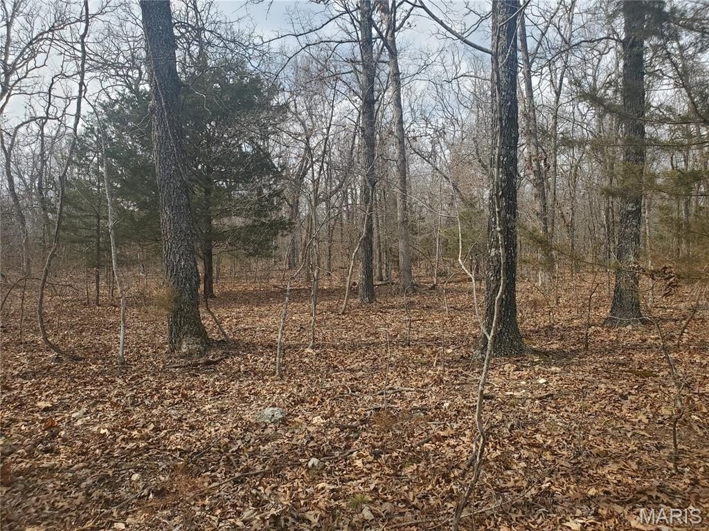 30.73 Acres Wooded Tract