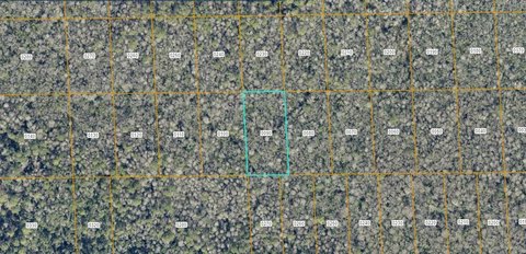 Land, DELAND, FL