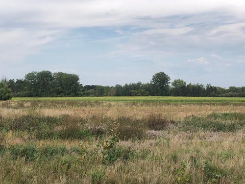Residential Lot in Northern Meadows
