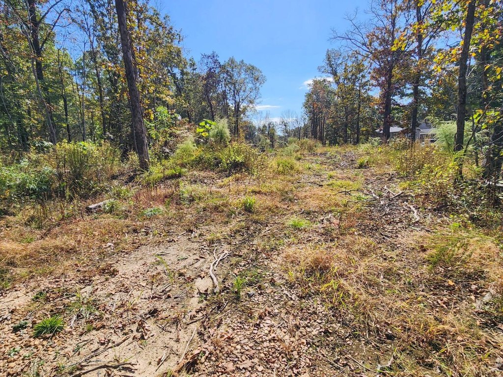 Picture 31