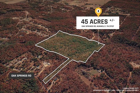 Land, Nunnelly, TN