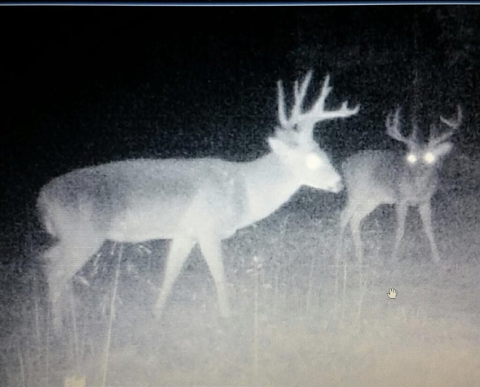 Picture 32