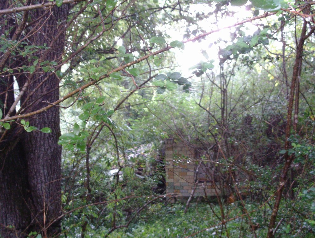 Picture 9