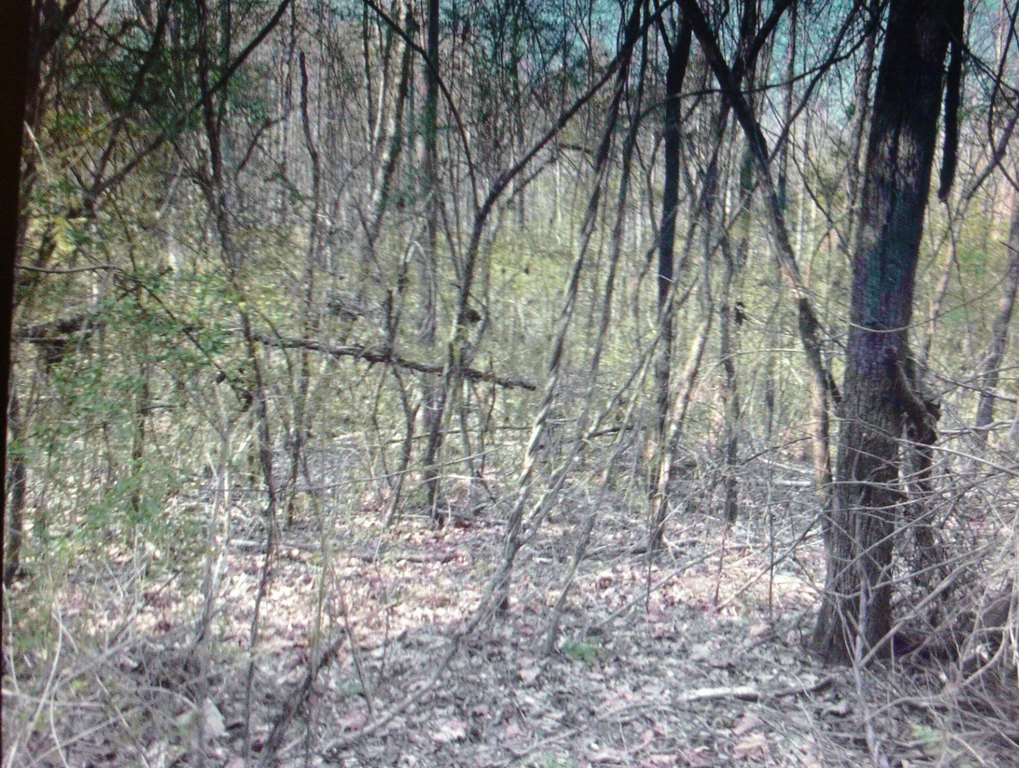 Picture 23