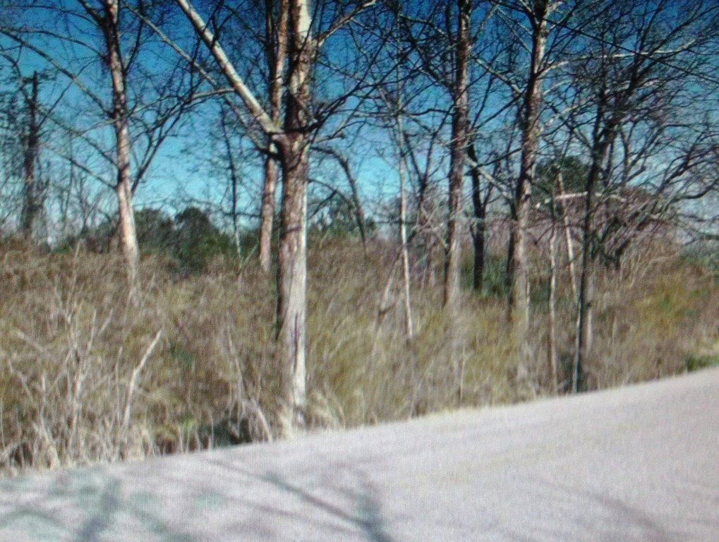 Picture 22