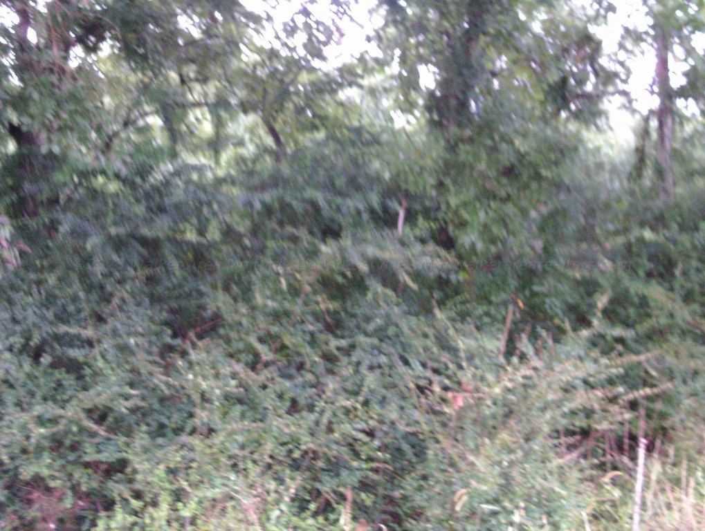 Picture 13